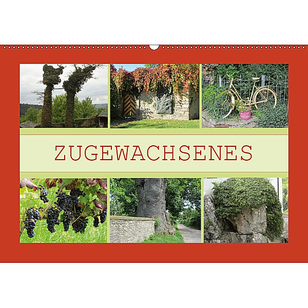 Zugewachsenes (Wandkalender 2019 DIN A2 quer), Angelika Keller