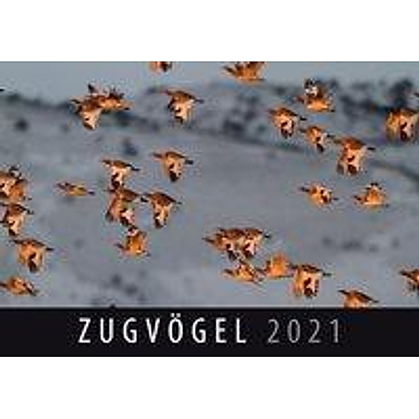 Zugvögel 2021