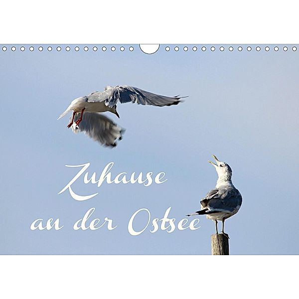 Zuhause an der Ostsee (Wandkalender 2021 DIN A4 quer), Heike Hultsch