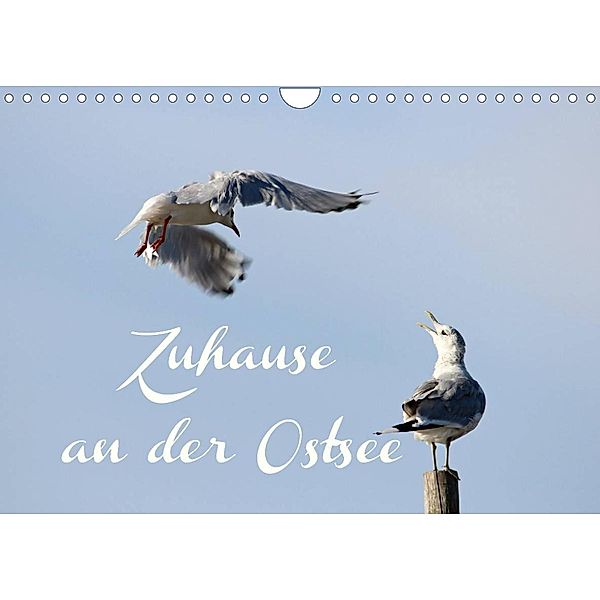 Zuhause an der Ostsee (Wandkalender 2023 DIN A4 quer), Heike Hultsch