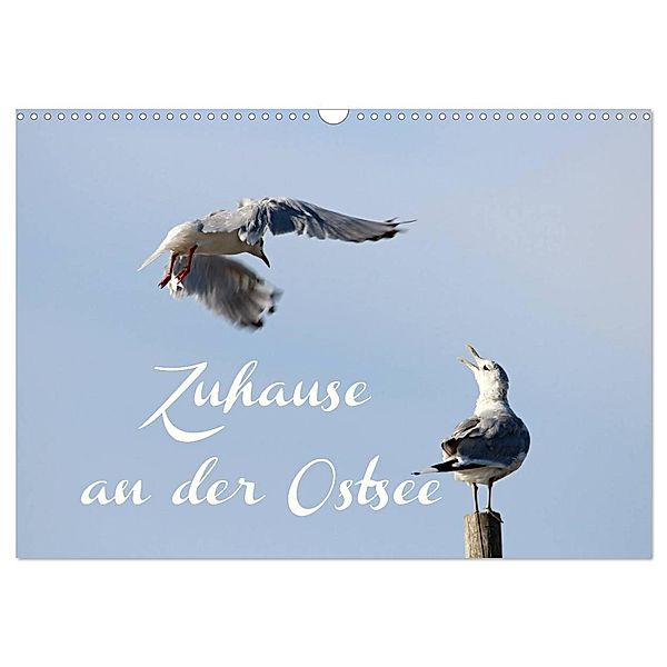 Zuhause an der Ostsee (Wandkalender 2025 DIN A3 quer), CALVENDO Monatskalender, Calvendo, Heike Hultsch