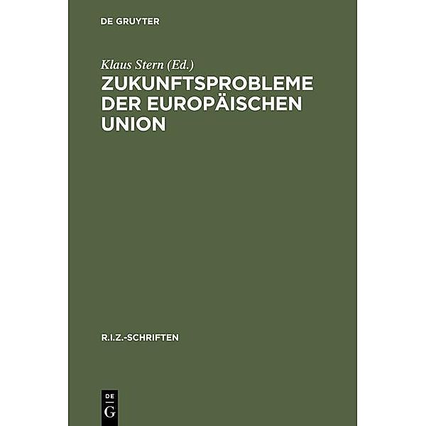 Zukunftsprobleme der Europäischen Union / R.I.Z.-Schriften Bd.7