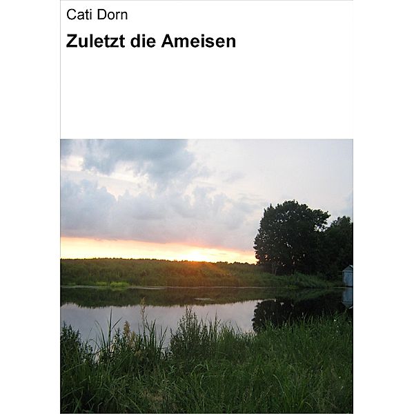 Zuletzt die Ameisen, Cati Dorn