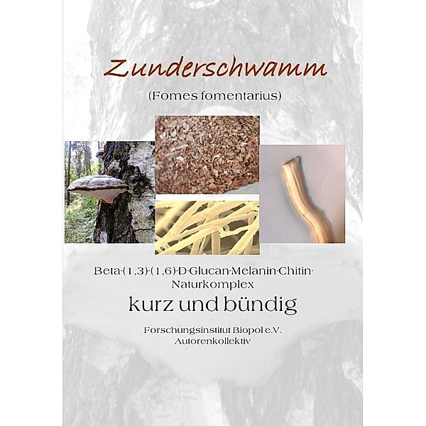 Zunderschwamm Beta-(1,3)-(1-6)-D-Glucan-Melanin-Chitin-Naturkomplex kurz und bündig, Wilfried Rühle