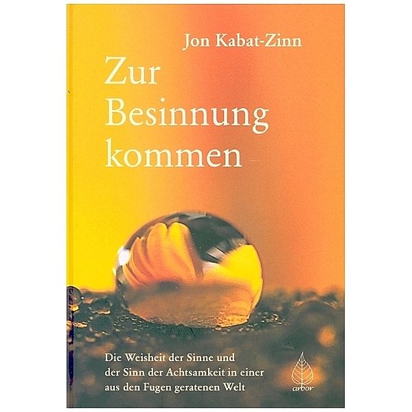 Zur Besinnung kommen, Jon Kabat-Zinn