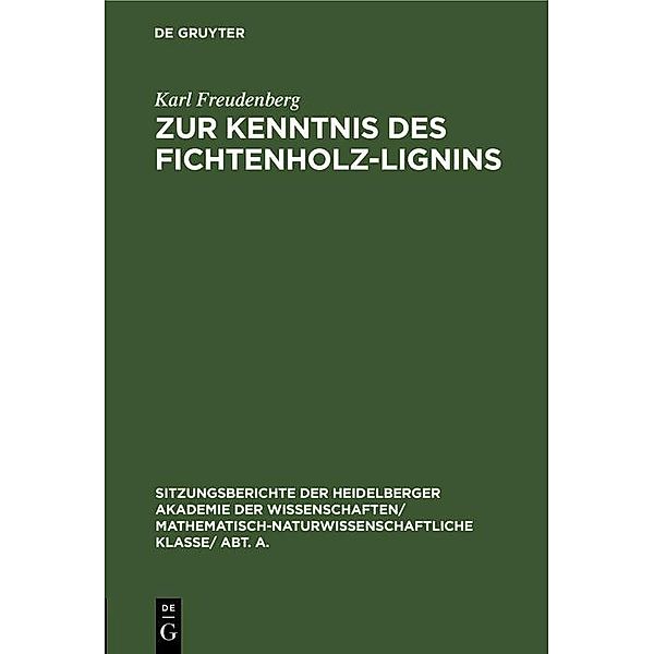 Zur Kenntnis des Fichtenholz-Lignins, Karl Freudenberg