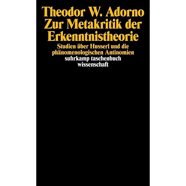 Zur Metakritik der Erkenntnistheorie, Theodor W. Adorno