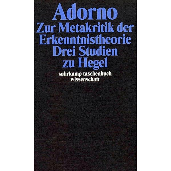 Zur Metakritik der Erkenntnistheorie, Theodor W. Adorno