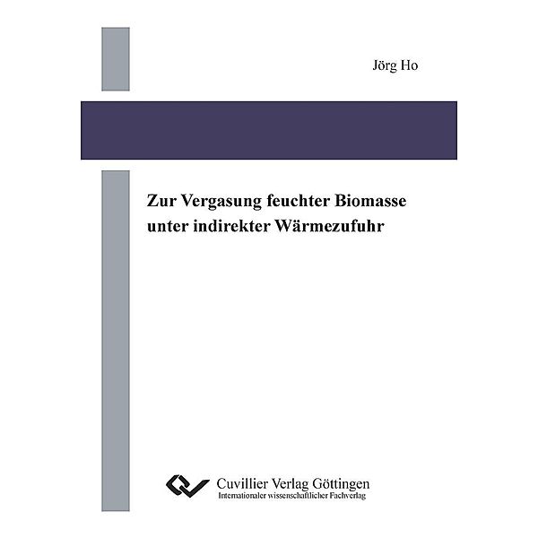 Zur Vergasung feuchter Biomasse unter indirekter Wärmezufuhr