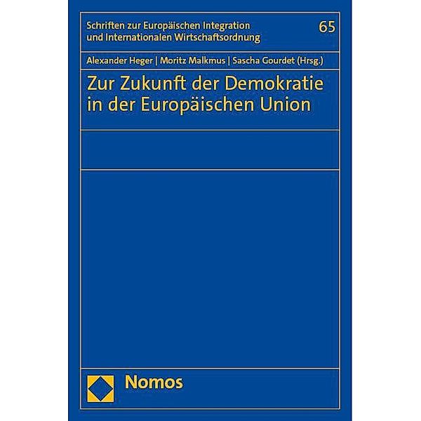 Zur Zukunft der Demokratie in der Europäischen Union