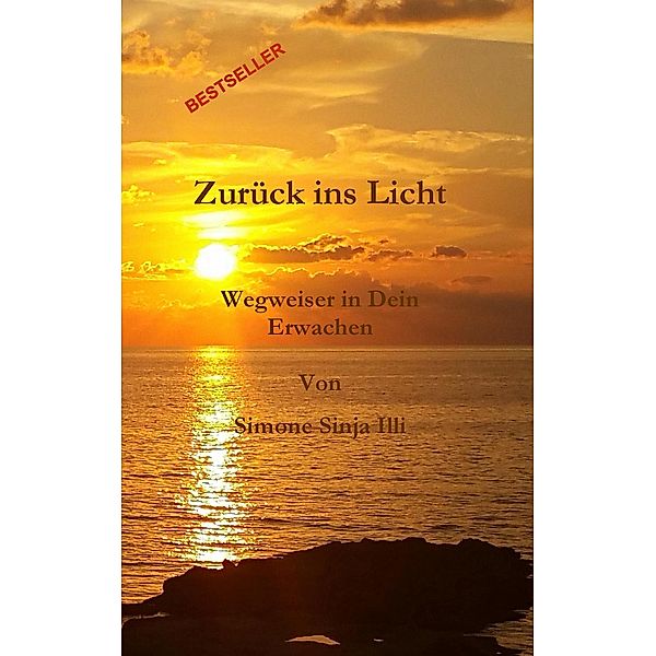 Zurück ins Licht, Simone Sinja Illi