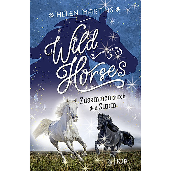 Zusammen durch den Sturm / Wild Horses Bd.2, Helen Martins