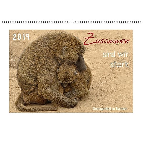 Zusammen sind wir stark - Geborgenheit im Tierreich (Wandkalender 2019 DIN A2 quer), Sigrun Düll