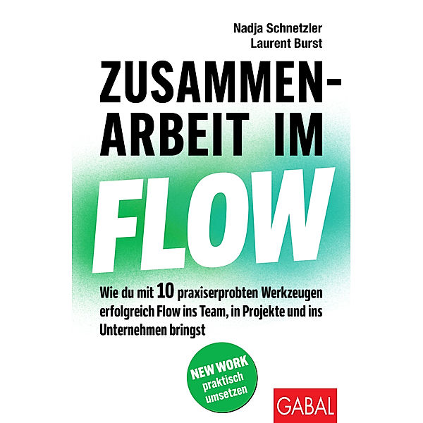 Zusammenarbeit im Flow, Nadja Schnetzler, Laurent Burst
