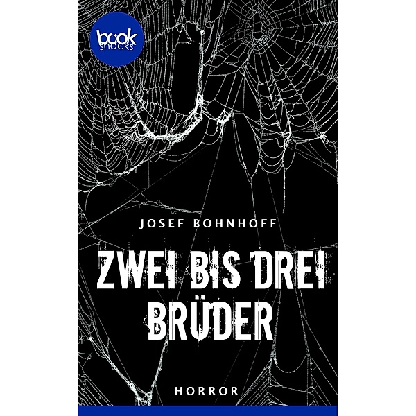 Zwei bis drei Brüder / Die booksnacks Kurzgeschichten-Reihe Bd.256, Josef Bohnhoff