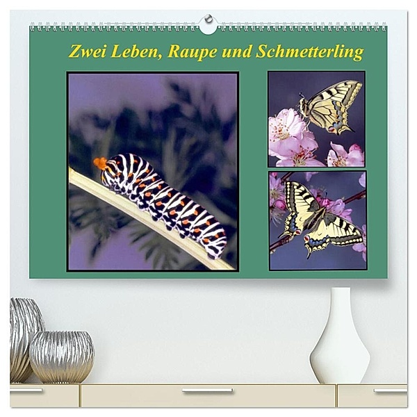 Zwei Leben, Raupe und Schmetterling (hochwertiger Premium Wandkalender 2024 DIN A2 quer), Kunstdruck in Hochglanz, lothar reupert