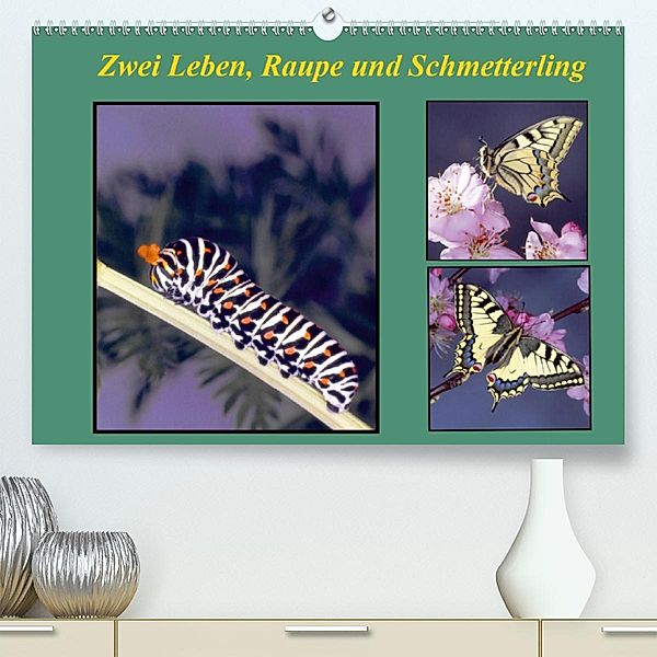 Zwei Leben, Raupe und Schmetterling (Premium-Kalender 2020 DIN A2 quer), Lothar Reupert