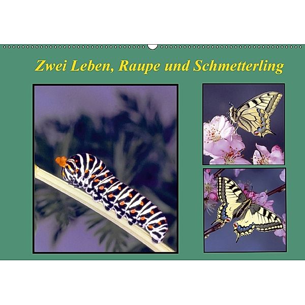 Zwei Leben, Raupe und Schmetterling (Wandkalender 2018 DIN A2 quer), Lothar Reupert