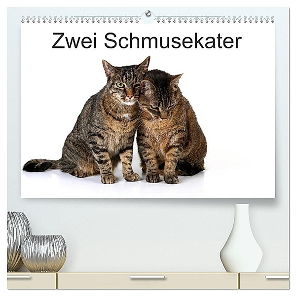 Zwei Schmusekater (hochwertiger Premium Wandkalender 2024 DIN A2 quer), Kunstdruck in Hochglanz, Klaus Eppele