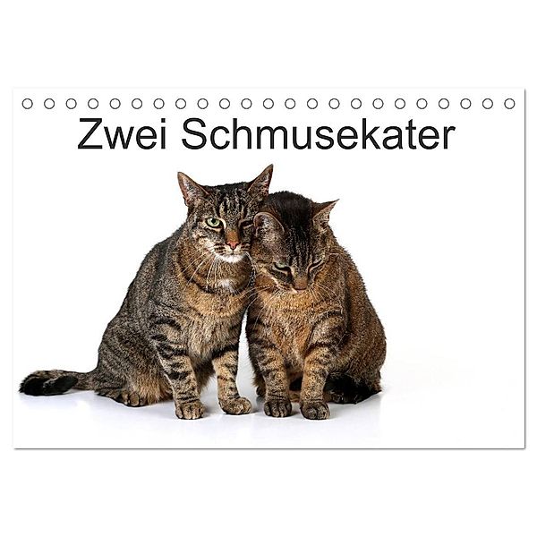 Zwei Schmusekater (Tischkalender 2024 DIN A5 quer), CALVENDO Monatskalender, Klaus Eppele