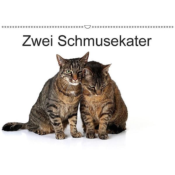 Zwei Schmusekater (Wandkalender 2017 DIN A2 quer), Klaus Eppele