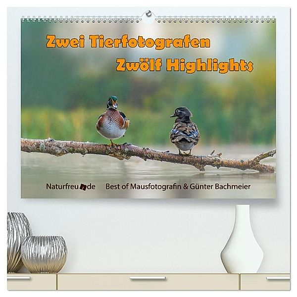 Zwei Tierfotografen Zwölf Highlights (hochwertiger Premium Wandkalender 2025 DIN A2 quer), Kunstdruck in Hochglanz, Calvendo, Jennifer Hetzel & Günter Bachmeier