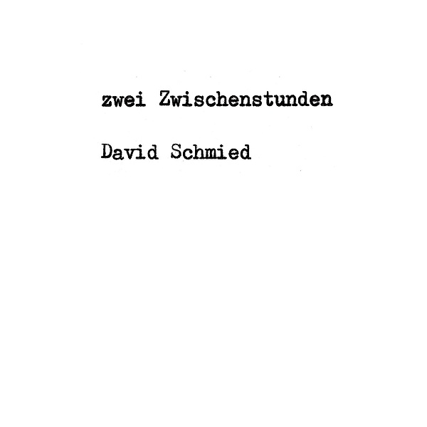 zwei Zwischenstunden, David Schmied