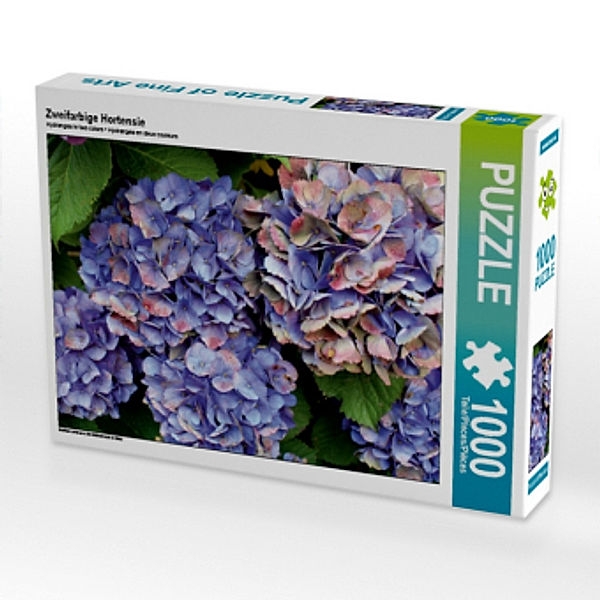 Zweifarbige Hortensie (Puzzle), N N