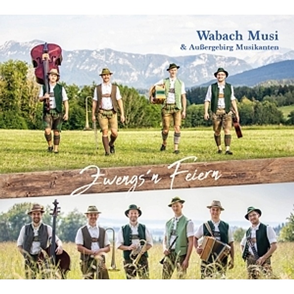 Zwengs'N Feiern, Wabach Musi & Aussergebirg Musikanten