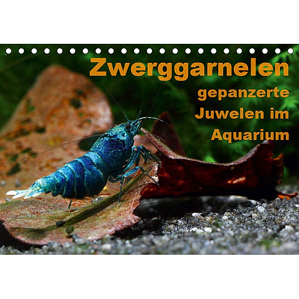 Zwerggarnelen - gepanzerte Juwelen im Aquarium (Tischkalender 2019 DIN A5 quer), Florian Franzmann