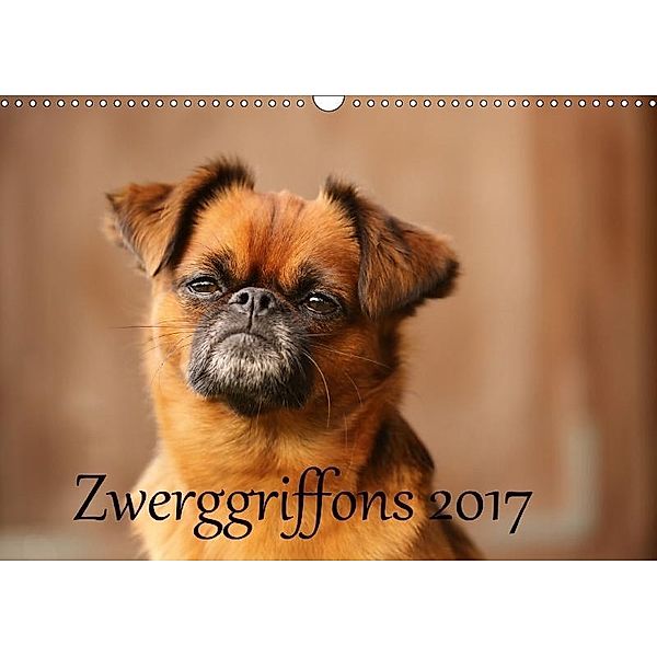 Zwerggriffons 2017 (Wandkalender 2017 DIN A3 quer), Angelika Witt - Schomber