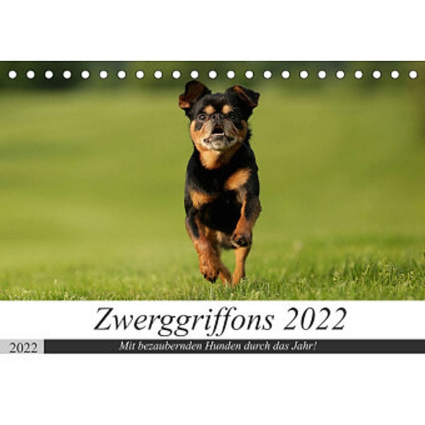 Zwerggriffons 2022 (Tischkalender 2022 DIN A5 quer), Angelika Witt - Schomber