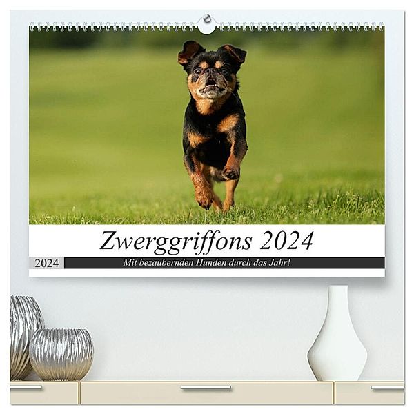 Zwerggriffons 2024 (hochwertiger Premium Wandkalender 2024 DIN A2 quer), Kunstdruck in Hochglanz, Angelika Witt - Schomber