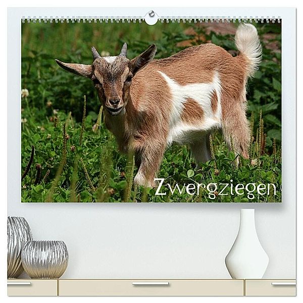 Zwergziegen (hochwertiger Premium Wandkalender 2024 DIN A2 quer), Kunstdruck in Hochglanz, Arno Klatt