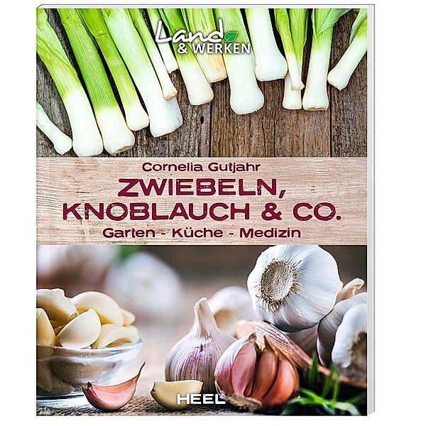 Zwiebeln, Knoblauch & Co. - Garten - Küche - Medizin, Cornelia Gutjahr