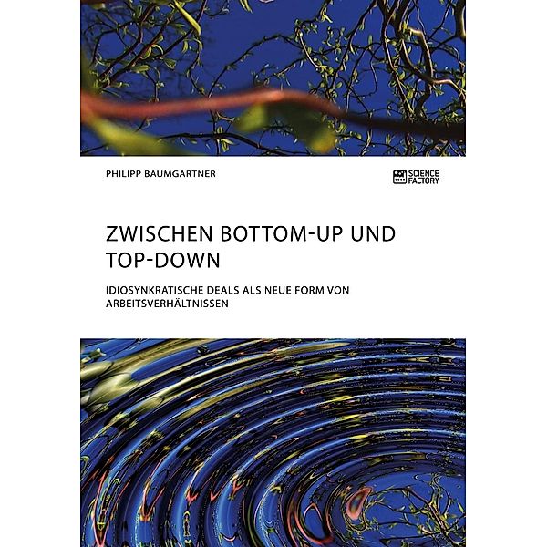Zwischen Bottom-Up und Top-Down. Idiosynkratische Deals als neue Form von Arbeitsverhältnissen, Philipp Baumgartner