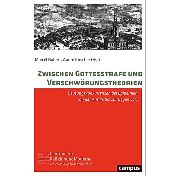 Zwischen Gottesstrafe und Verschwörungstheorien / Religion und Moderne Bd.27