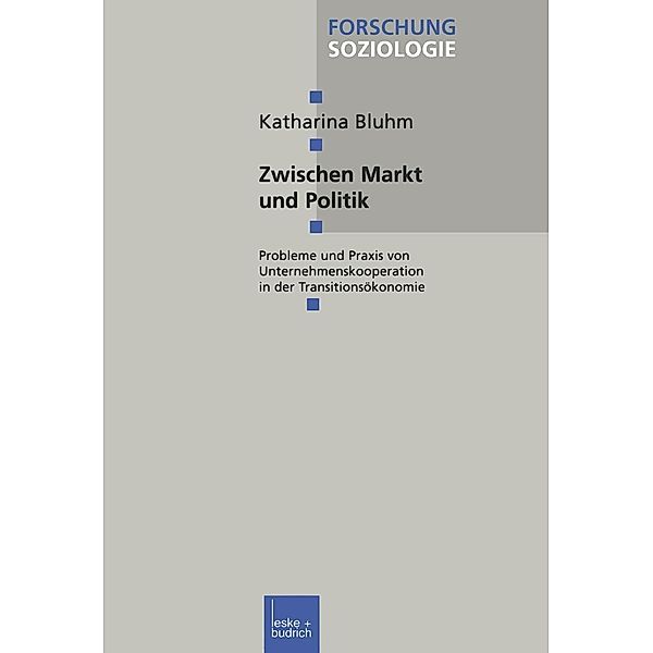 Zwischen Markt und Politik / Forschung Soziologie Bd.27, Katharina Bluhm