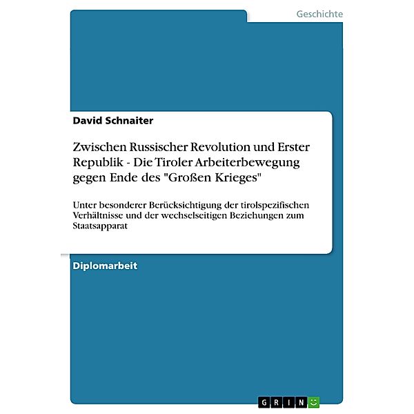 Zwischen Russischer Revolution und Erster Republik - Die Tiroler Arbeiterbewegung gegen Ende des Großen Krieges, David Schnaiter