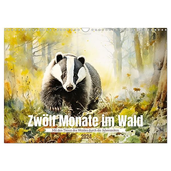 Zwölf Monate im Wald (Wandkalender 2024 DIN A3 quer), CALVENDO Monatskalender, Calvendo, Daniela Tapper