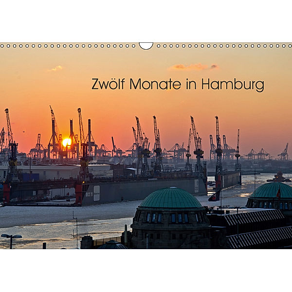 Zwölf Monate in Hamburg (Wandkalender 2019 DIN A3 quer), Caladoart