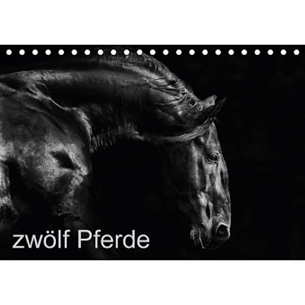 zwölf Pferde (Tischkalender 2016 DIN A5 quer), Peter Becker