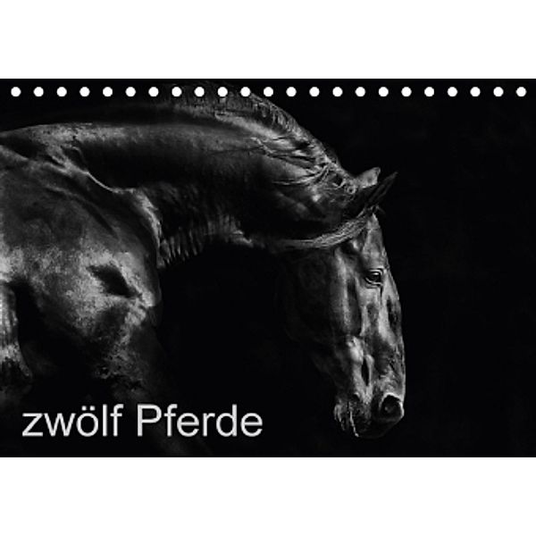 zwölf Pferde (Tischkalender 2017 DIN A5 quer), Peter Becker
