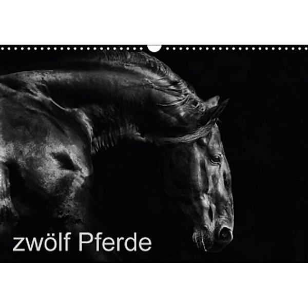 zwölf Pferde (Wandkalender 2017 DIN A3 quer), Peter Becker