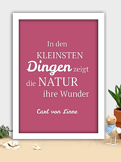 In den kleinsten Dingen zeigt die Natur ihre Wunder (Carl von Linne)