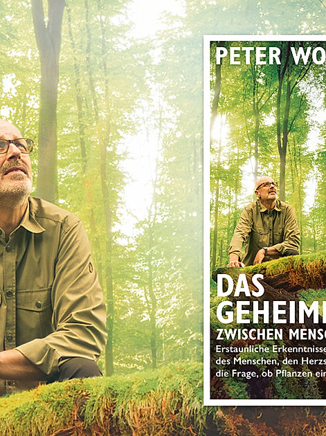 Bestseller: Das geheime Band von Peter Wohlleben