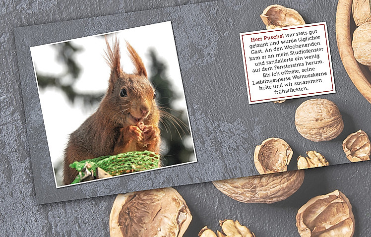 Uli Stein: Beste Freunde – Eichhörnchen in meinem Garten