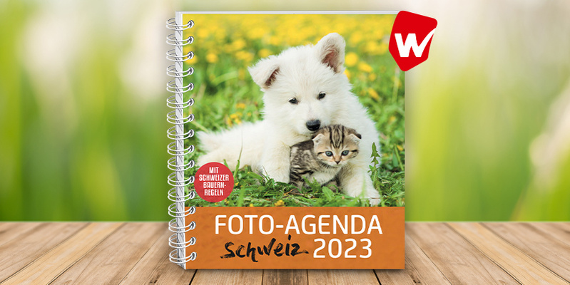 Foto-Agenda Schweiz 2023