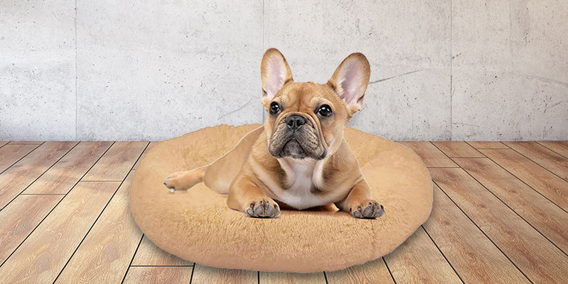 Hundezubehör » Hundebedarf online kaufen bei Weltbild.de