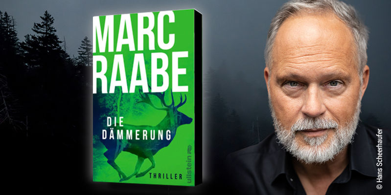 Marc Raabe, Die Dämmerung